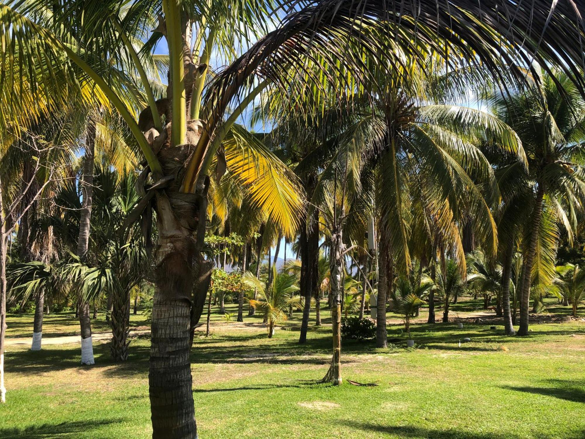 Casa Kundavi Beach Front Paradise Recado Exterior foto